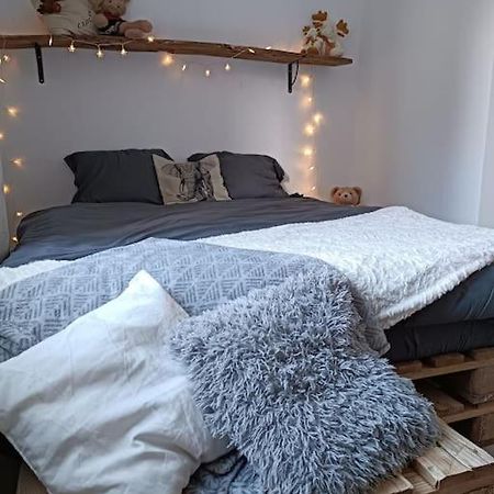 Appartement T2 Ultra Cosy En Hypercentre à Tarare Extérieur photo