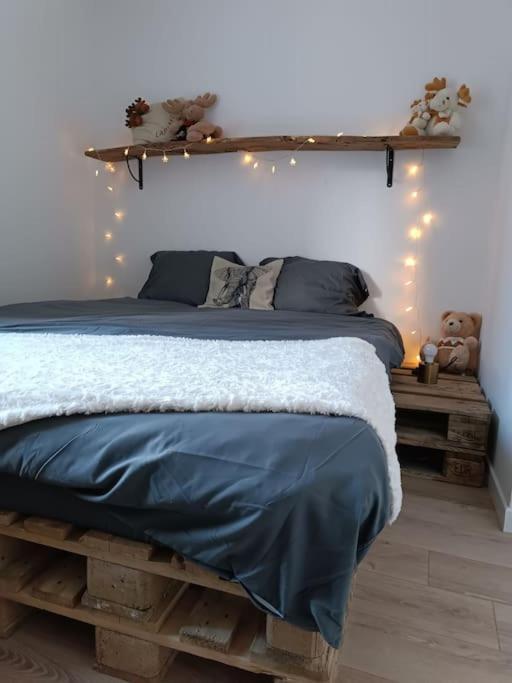 Appartement T2 Ultra Cosy En Hypercentre à Tarare Extérieur photo